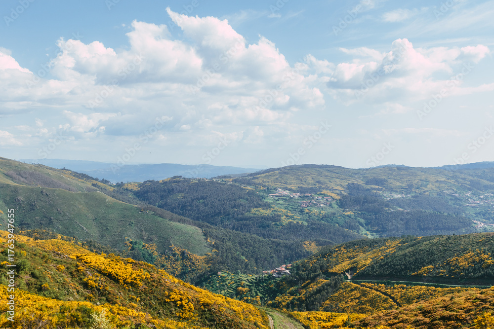 Naklejka premium landscape of the mountains