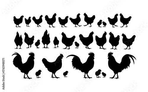 rooster silhouettes vector