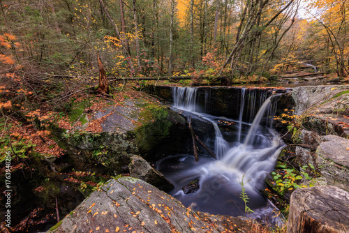 Ender's Falls waterfall in the woods