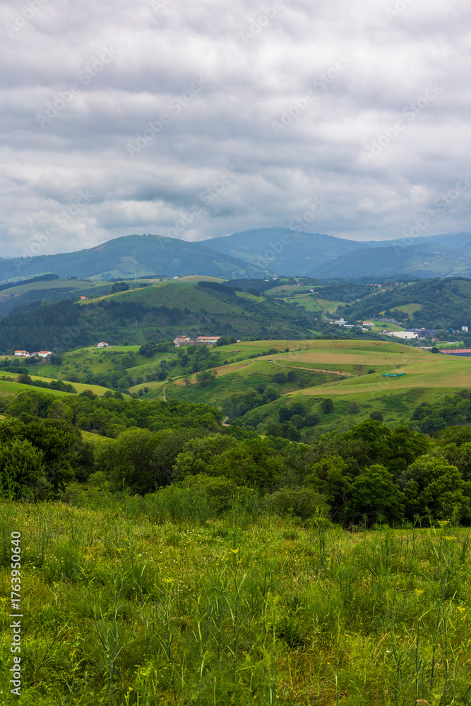 Fototapeta premium Panoramic View of the Verdant Hills Between Deba and Zumaia