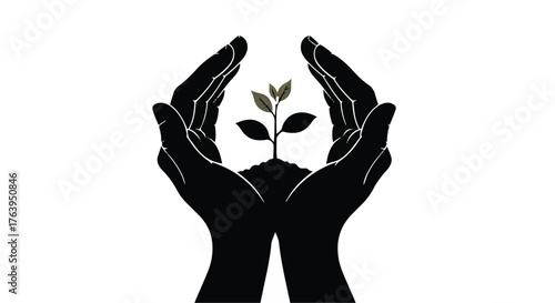 Nurturing hands protect a fragile seedling, symbolizing growth and new beginnings.