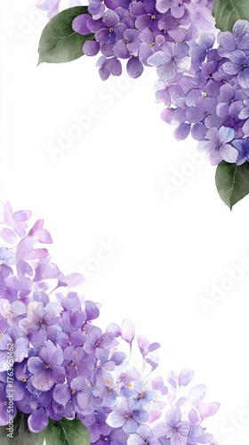 Violet Flowers Create a Beautiful Border in a Delicate Floral Design for Spri...