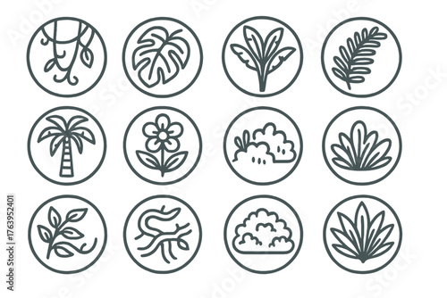 Jungle Plant Icons. Line style icons of jungle plants in round shape: hanging vine, large leaf, banana plant, fern; palm tree,