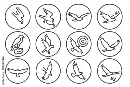 Falconry Flight Icons. Line style icons of falconry flight in round shape: falcon diving, falcon swooping, bird in glide, falcon