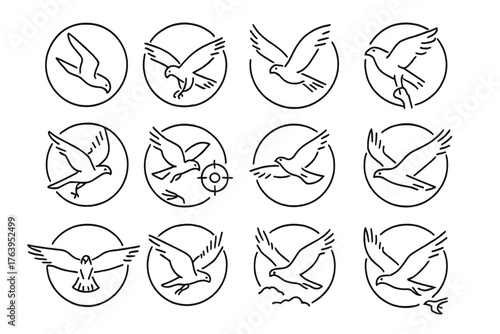 Falconry Flight Icons. Line style icons of falconry flight in round shape: falcon diving, falcon swooping, bird in glide, falcon