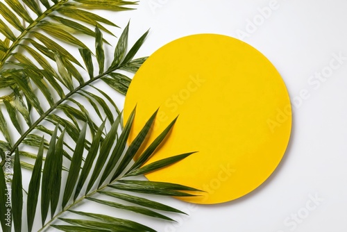 Bright Yellow Circle Surrounded by Green Palm Leaves on a White Background fo...