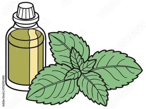 Fresh mint leaves with essential oil bottle on transparent background, highlighting vibrant green foliage and aromatic properties
