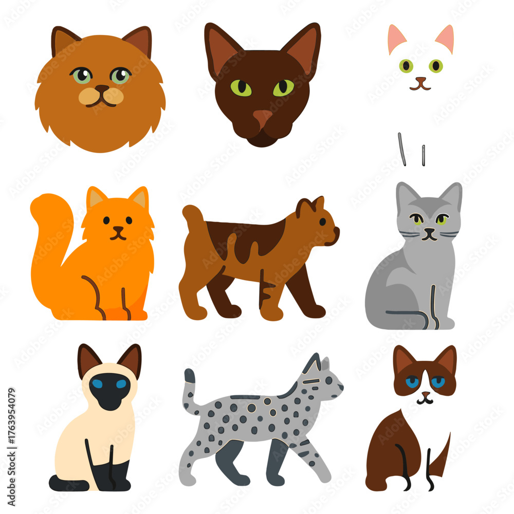 Fototapeta premium Colorful Cat Breed Icons. Flat vector icons of cat breeds: Ragamuffin gentle eyes, Havana Brown snout, Khao Manee white coat.