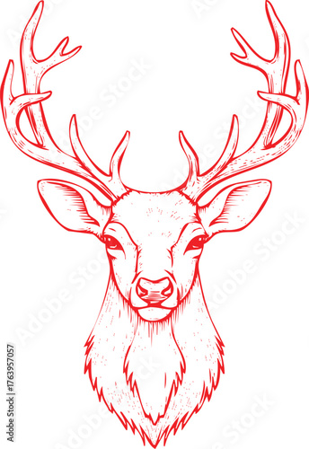 Red Line Art Illustration of a Majestic Deer Head with Antlers on White Background stag animal
