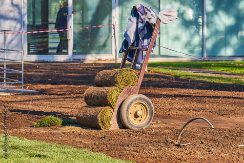 Wallpaper Mural tacks of rolled sod on dolly over prepared soil at park site, warm light, tools and irrigation tube. Scene of lawn installation in progress Torontodigital.ca