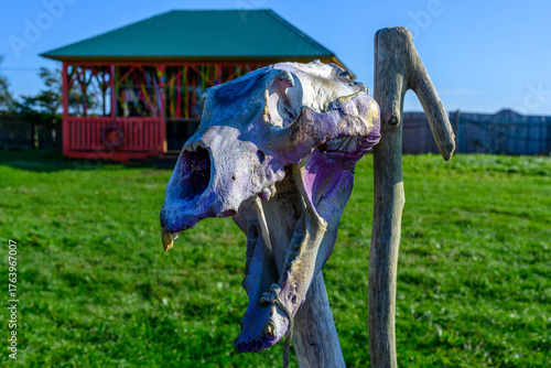 Unique skull display stands in vibrant green field near colorful gazebo under sunny sky