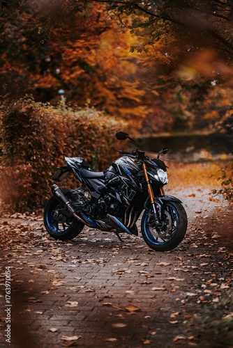 motorcycle on the road