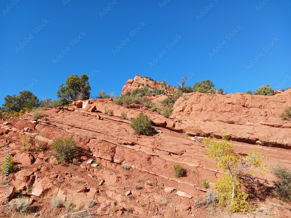 Fototapeta premium A scenic view at Kolob Canyon in Zion National Park in Utah