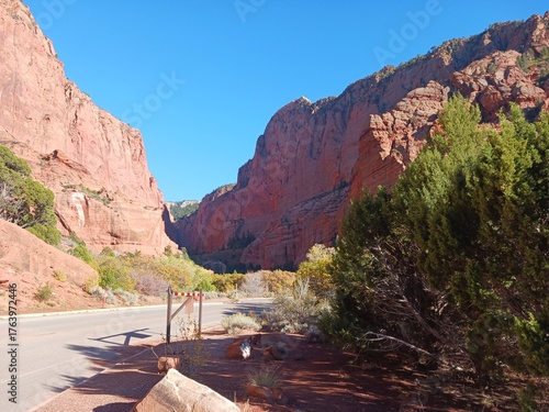 A scenic view at Kolob Canyon in Zion National Park in Utah