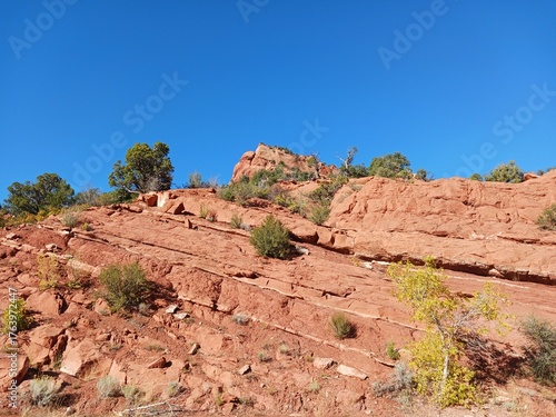 A scenic view at Kolob Canyon in Zion National Park in Utah