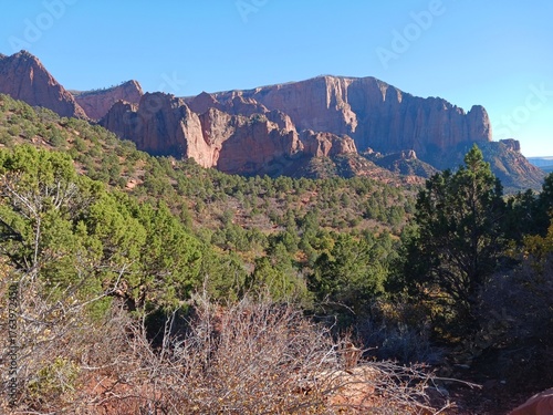 A scenic view at Kolob Canyon in Zion National Park in Utah