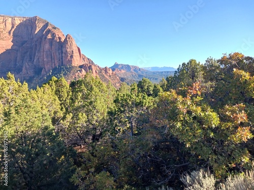 A scenic view at Kolob Canyon in Zion National Park in Utah