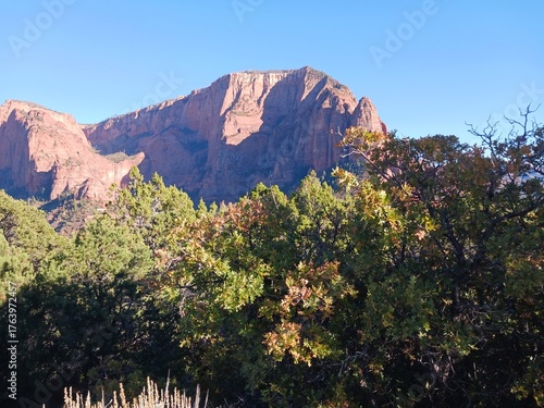 A scenic view at Kolob Canyon in Zion National Park in Utah