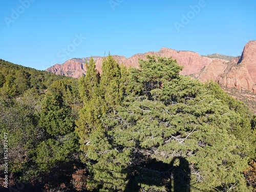 A scenic view at Kolob Canyon in Zion National Park in Utah