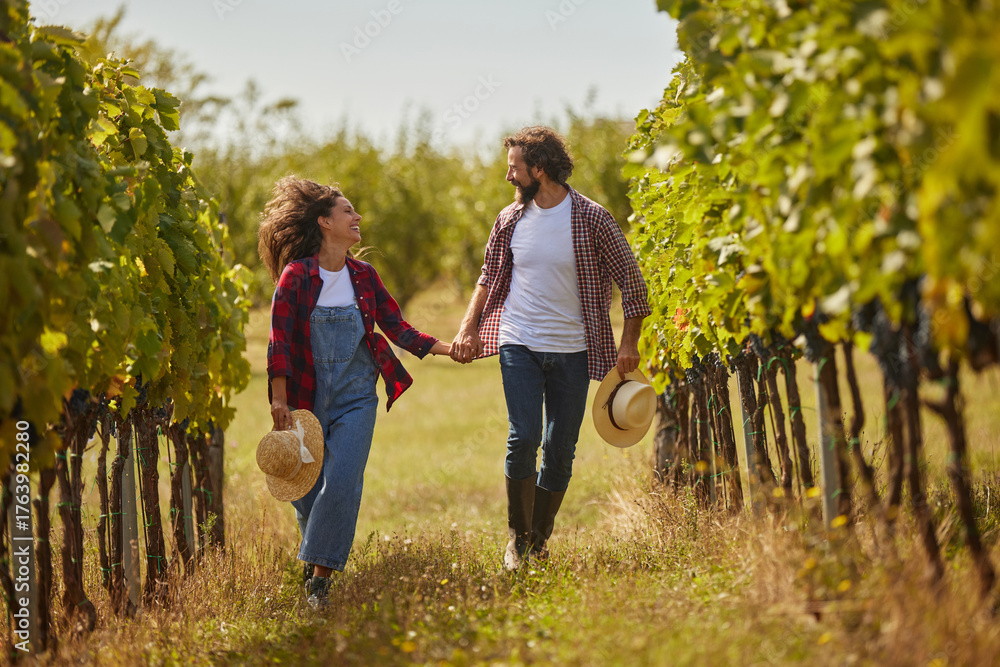 Fototapeta premium A couple walks hand in hand through rows of grapevines in a vineyard, smiling as they embrace the warmth of a sunny day while managing their family wine production business.