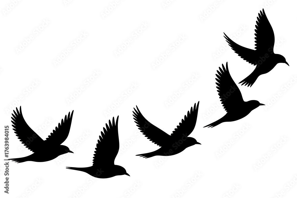 Obraz premium Silhouetted birds soar gracefully across a white background, conveying freedom and flight.