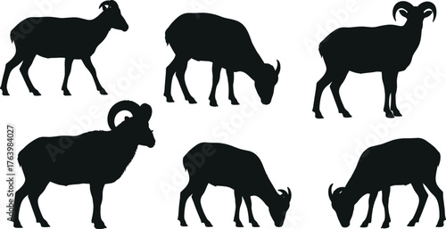Goat sheep silhouette, farm animal vector, ram horn design, grazing sheep art, standing goat graphic, livestock illustration, black animal icon