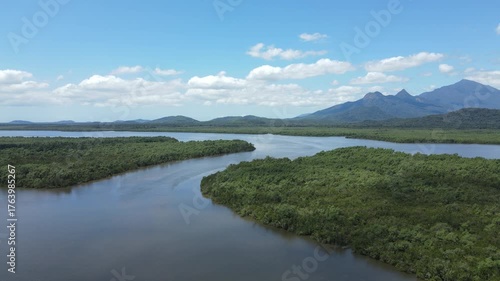 Voo sobre rio em mangue no litoral do Paraná em Paranaguá em Alexandra na mata atlântica desaguando no mar