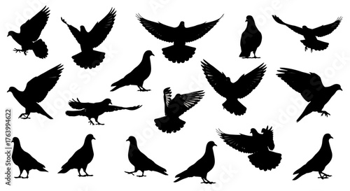 Dynamic flock of pigeons in various flight and standing poses, capturing movement and grace for impactful design projects.