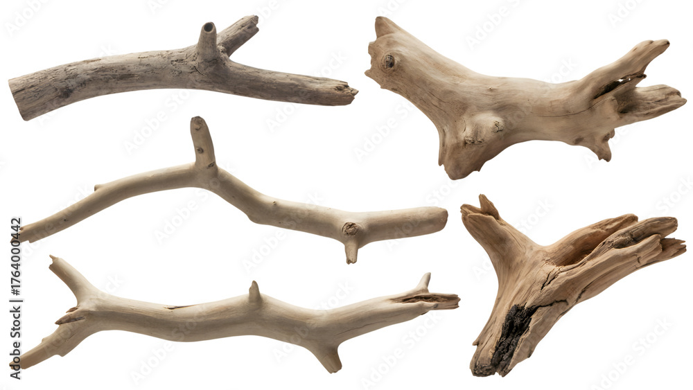 Fototapeta premium Driftwood pieces collection. Isolated on transparent background, png