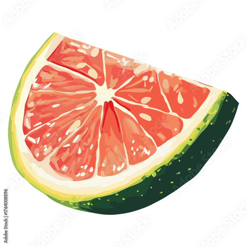 Citrus illustration grapefruit refreshing vector