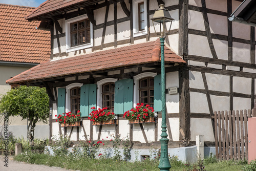 Fenster mit Blumenschmuck, Fachwerkhaus, Elsass
