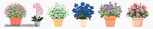 Colorful potted flowers illustration, isolated vector set
