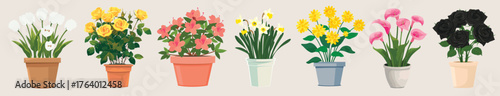 Colorful potted flowers illustration, isolated vector set