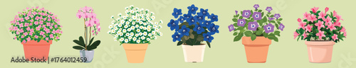 Colorful potted flowers illustration, isolated vector set