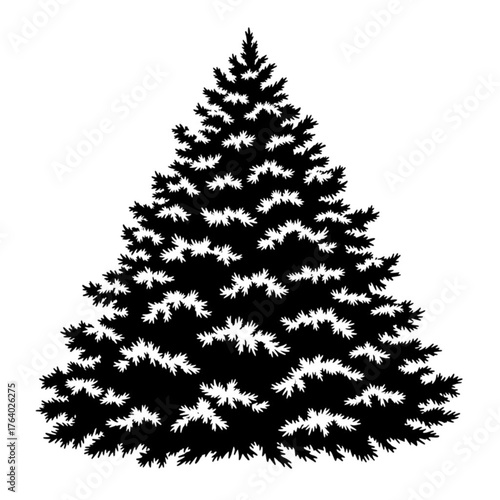 An evergreen silhouette showcases the detailed form of the tree's intricate needles and branches in striking monochrome.