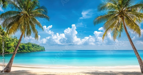 Tropical beach with palm trees, turquoise water, clear sky