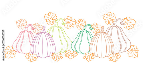 Vector illustration of pumpkin line art style, thanksgiving, autumn, for thanksgiving banner and more