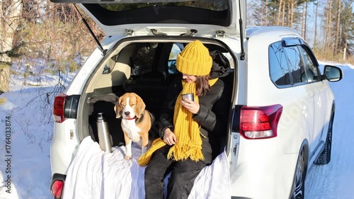 Happy girl  drinks hot tea while sitting in the trunk of a car with her beagle dog. Winter travel by car with a pet.