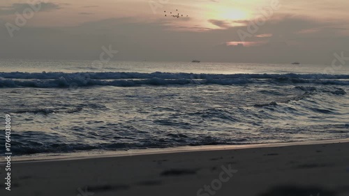 早朝の海で戯れる人々