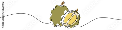 Durian in one line art style. Drawing of a whole durian and its cut half with pulp, with editable black stroke and color on white background. Vector illustration.