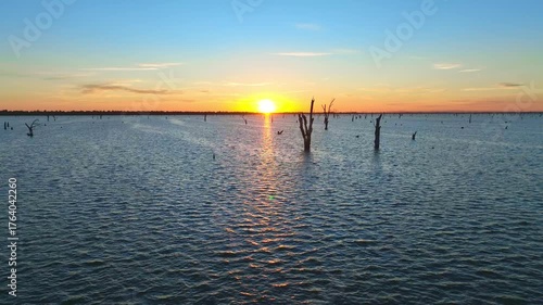 Aerial Sunrise over Lake Mulwala, a man-made reservoir with dead river red gums in the water at Mulwala, NSW, Australia.
