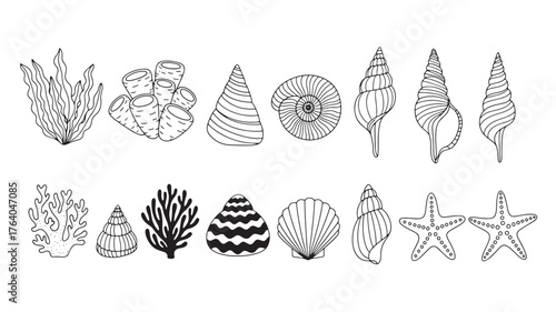 Hand drawn seashells and coral collection with a silhouette on transparent background