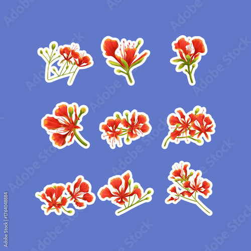 Flamboyant Tree Flower Stickers Collection