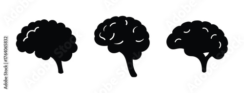 Three distinct black silhouette brain icons showing neural network and cognitive concepts