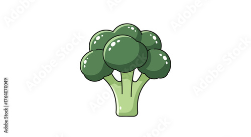 Fresh green broccoli vegetable illustration isolated on white background.