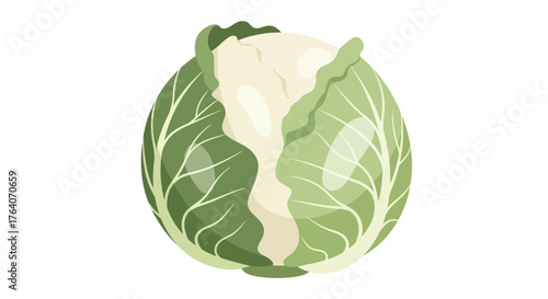 Fresh green cabbage head isolated on white background, healthy food concept.