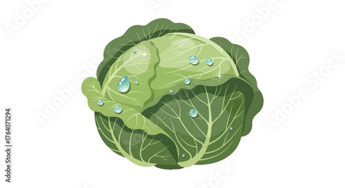 Fresh Green Cabbage with Water Droplets, Healthy Vegetable.