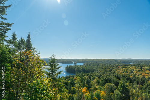 Tranquil wilderness scenery of Algonquin Park with trees, lakes, and open sky.