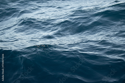 Traditional cultural fishing boats gathered at sea during the Yemanjá celebration on February 2nd in Brazil. A powerful scene that blends faith, culture, and maritime tradition, with decorated boats h