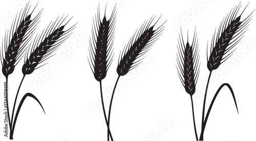 Three stalks of wheat in a black silhouette